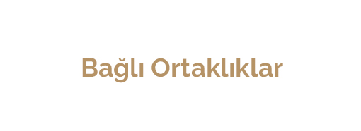 Bağlı Ortaklıklar
