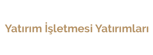 Yatırım İşletmesi Yatırımları